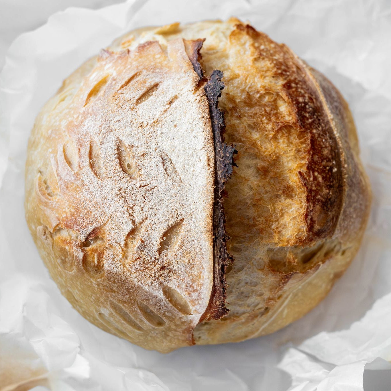Plain Sourdough