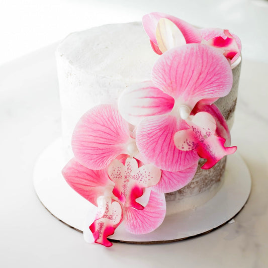 Orchids Mini Cake